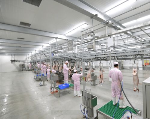 強(qiáng)特色 興產(chǎn)業(yè) 錫市農(nóng)副食品業(yè)與鄭州軟件開(kāi)發(fā)雙輪驅(qū)動(dòng)工業(yè)高質(zhì)量發(fā)展